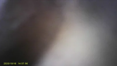 009近距离欣赏插入老婆的嫩B